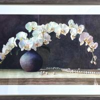 565231086_122182835708528856_7071311258279545188_n