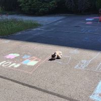 IMG_20250811_110813091