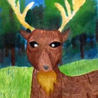 DSC_0397