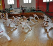 19capoeira (1)