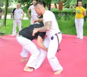 19capoeira (6)