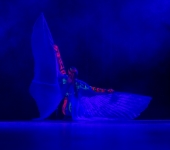 IMG_7231