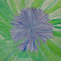 08