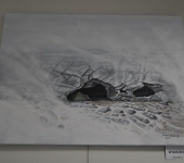 Hałas (11)